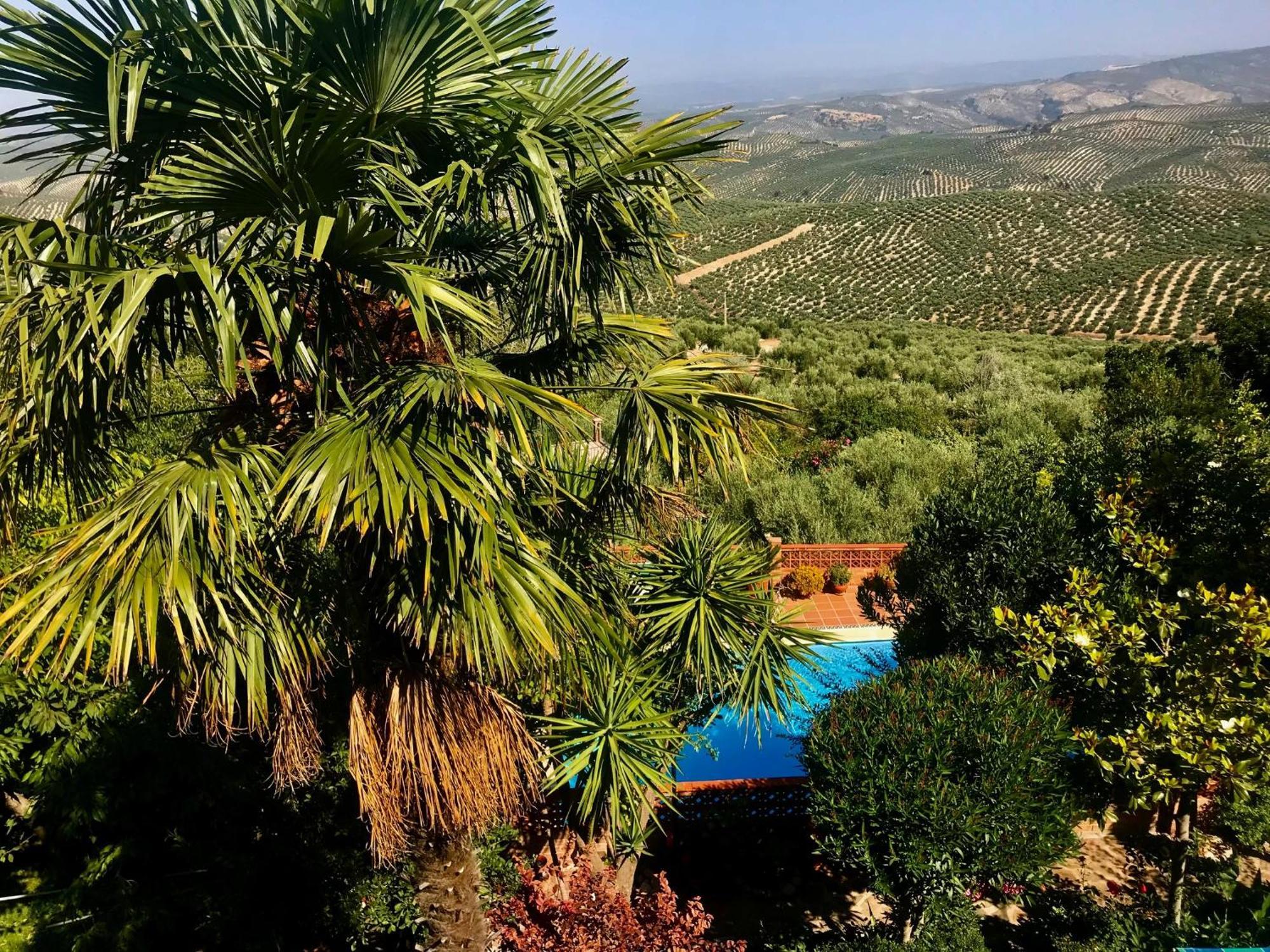 La Finca Mercedes Ла-Іруела Екстер'єр фото